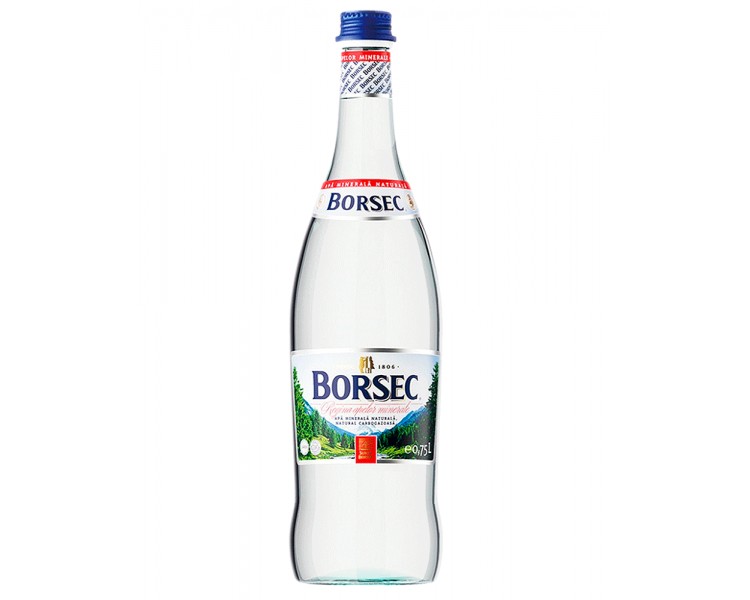 BORSEC AGUA MINERAL CON GAS 0,75/6