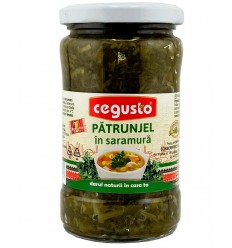 CONSERVFRUCT PEREJIL EN SALMUERA 300G/8