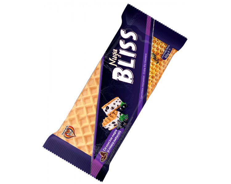 PAN FOOD TURÓN ARÁNDANOS-MIEL 100G/22